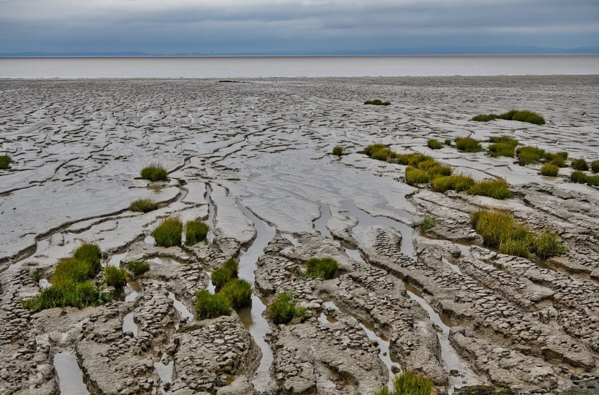Mud, mud
